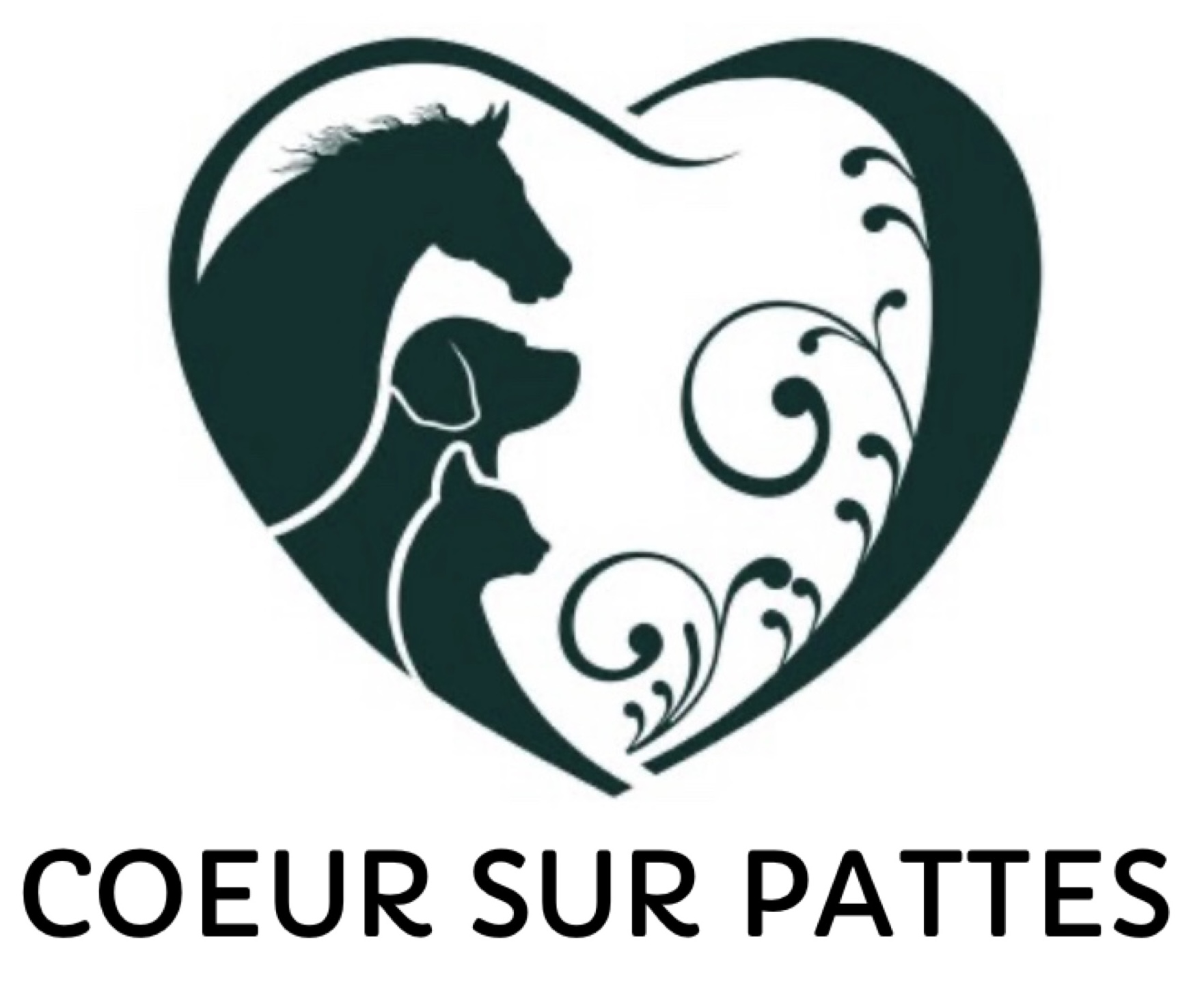 Cœur sur pattes – Pet sitter au Cailar – Gardes, visites et promenades d’animaux à domicile